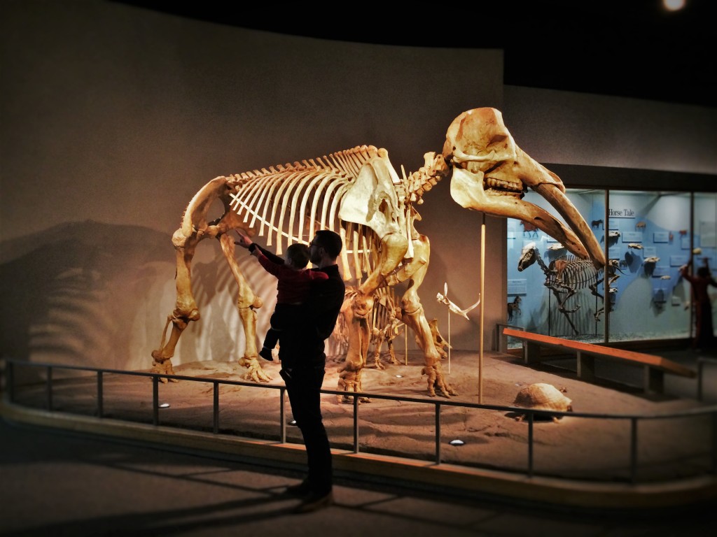 A Day At The Denver Museum Of Nature And Science - 2 Travel Dads