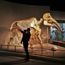 Chris Taylor and TinyMan in Prehistoric Journey in Denver Museum of Science and Nature 2