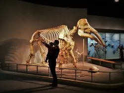 Chris Taylor and TinyMan in Prehistoric Journey in Denver Museum of Science and Nature 2