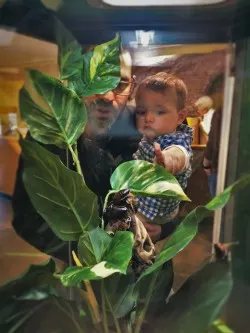 Chris Taylor and TinyMan looking at Cockroaches at the Butterfly Pavilion Denver Colorado 1