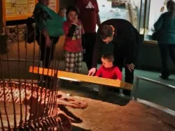 Chris Taylor and TinyMan with Dinosaur Skeletons in Denver Museum of Science and Nature 2