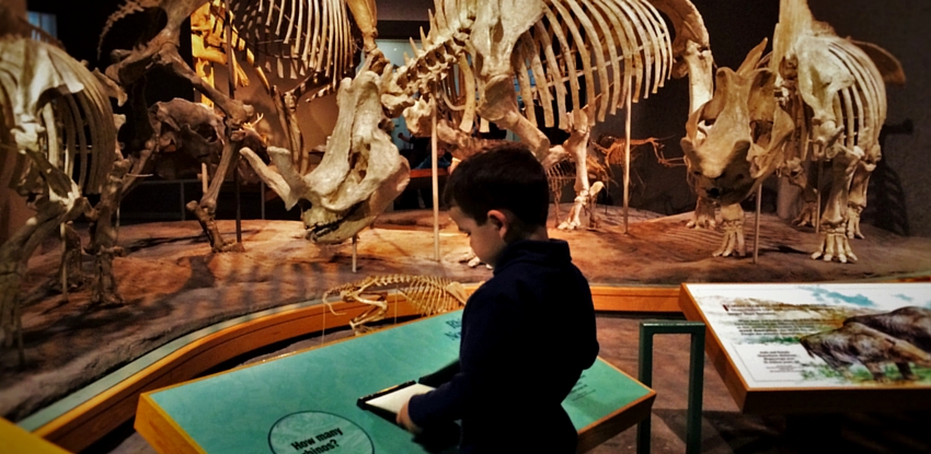A Day at the Denver Museum of Nature and Science