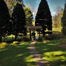 Entrance-to-Japanese-Garden-at-Bloedel-Reserve-Bainbridge-Island-1-225x225.jpg