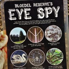 Eye Spy Guide at Bloedel Reserve Bainbridge Island 1 2traveldads.com