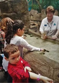 LittleMan Touch tank Denver Downtown Aquarium 2traveldads.com