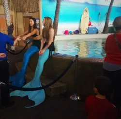LittleMan and Mermaids at Denver Downtown Aquarium 1