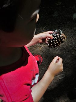 LittleMan and Pinecone at Kennesaw Mountain National Battlefield 1