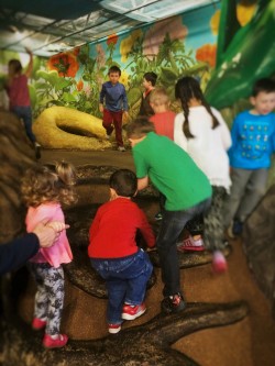 LittleMan-climbing-in-backyard-area-at-Childrens-Museum-of-Denver-1-250x333.jpg
