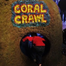 LittleMan-crawling-through-tubes-at-Denver-Downtown-Aquarium-1-e1460501904841-225x225.jpg