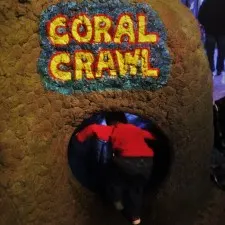 LittleMan crawling through tubes at Denver Downtown Aquarium 1