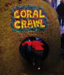 LittleMan crawling through tubes at Denver Downtown Aquarium 1