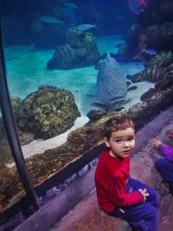 LittleMan in Shark Tube at Denver Downtown Aquarium 1