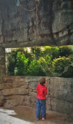 LittleMan in rainforest area at Denver Downtown Aquarium 1