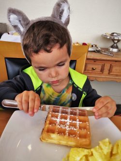 LittleMan in wolf ears at breakfast in Restaurant 301 at Carter House Inn Eureka 2