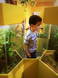 LittleMan looking at Bug Tanks at the Butterfly Pavilion Denver Colorado 1