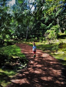 LittleMan on Shadowy Path at Bloedel Reserve Bainbridge Island 2