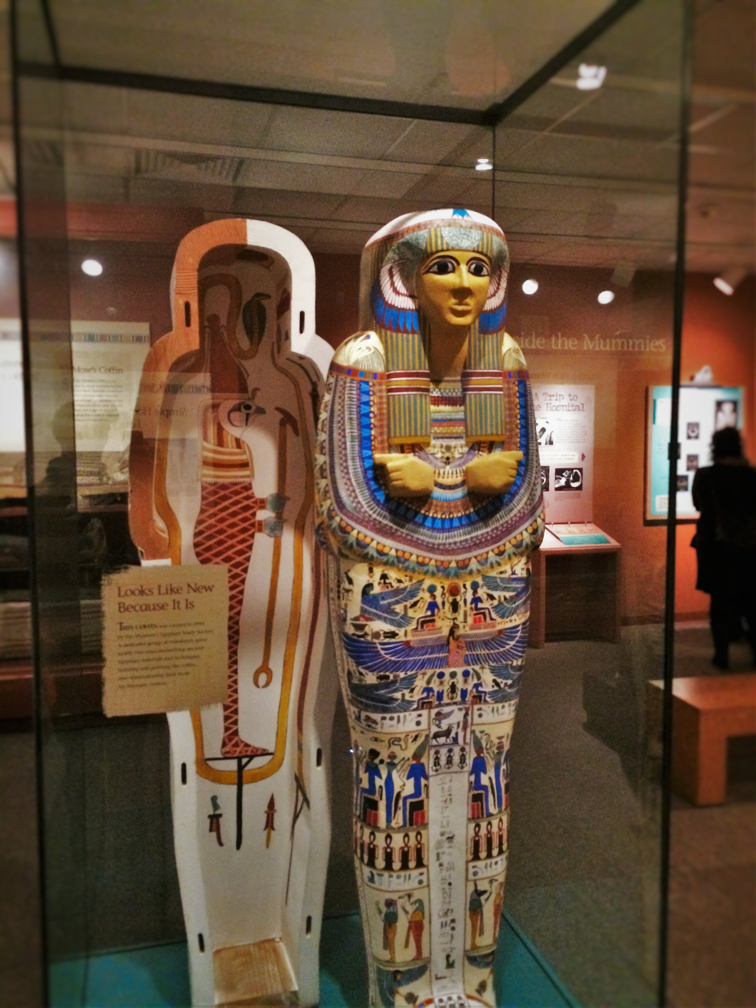 Replica Mummy Case in Denver Museum of Science and Nature