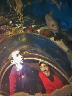 Rob Taylor and LittleMan in bubble glass at Denver Downtown Aquarium 1