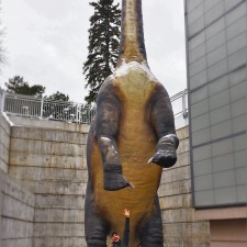 Rob-Taylor-and-LittleMan-with-Apatasaurus-at-Denver-Museum-of-Science-and-Nature-4-1-225x225.jpg
