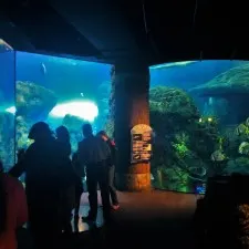 Shipwreck area at Denver Downtown Aquarium 1