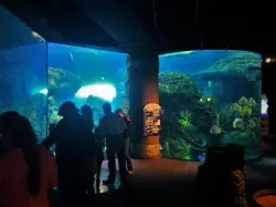 Shipwreck area at Denver Downtown Aquarium 1