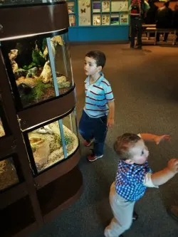 Taylor Kids and bug tanks at the Butterfly Pavilion Denver Colorado 1