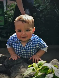 TinyMan Looking at Butterflies at the Butterfly Pavilion Denver Colorado 2