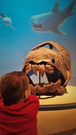 TinyMan and Megaladon Fossile at Denver Museum of Nature and Science 1