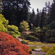 Trees-reflecting-on-still-pond-in-Japanese-Garden-at-Bloedel-Reserve-Bainbridge-Island-2-225x225.jpg
