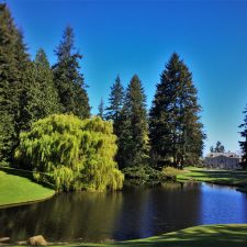 Weeping Willow with Pond and Mansion at Bloedel Reserve Bainbridge Island 2