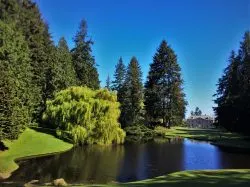 Weeping Willow with Pond and Mansion at Bloedel Reserve Bainbridge Island 2