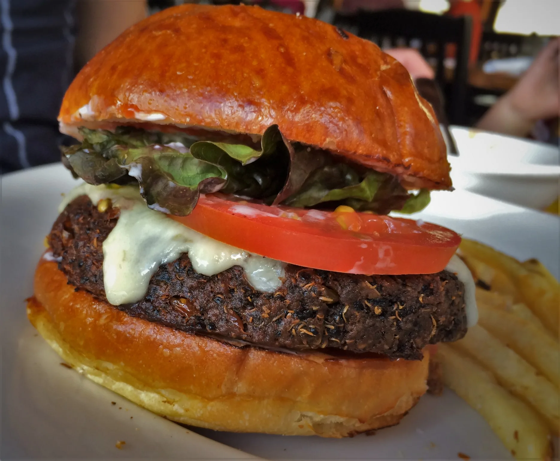 Black bean burger for lunch at Tavern at Evergreen Lodge at Yosemite National Park 1