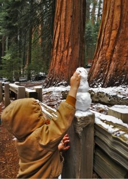 Building a snowman in Sequoia National Park 2traveldads.com