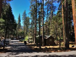 The Evergreen Lodge At Yosemite National Park Amazing   Cabin Group At Evergreen Lodge At Yosemite 2traveldads.com  250x188 