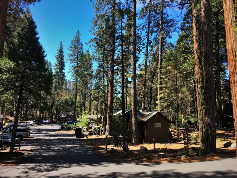 Cabin group at Evergreen Lodge at Yosemite 2traveldads.com