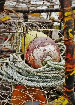 Crabbing pots in Trinidad California 2traveldads.com