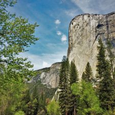 El Capitan from Cathedral Picnic Area in Yosemite National Park 1