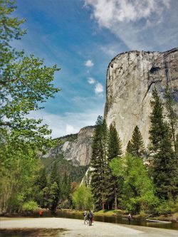 El Capitan from Cathedral Picnic Area in Yosemite National Park 1