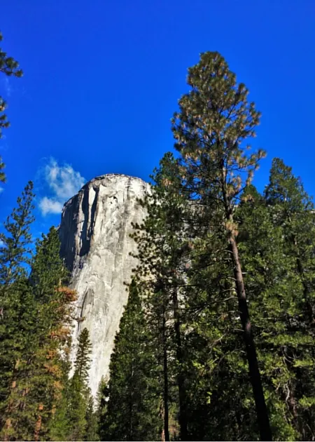 El Capitan from Valley Floor in Yosemite National Park 2traveldads.com