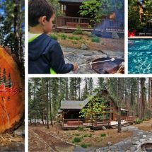 Evergreen Lodge Yosemite features