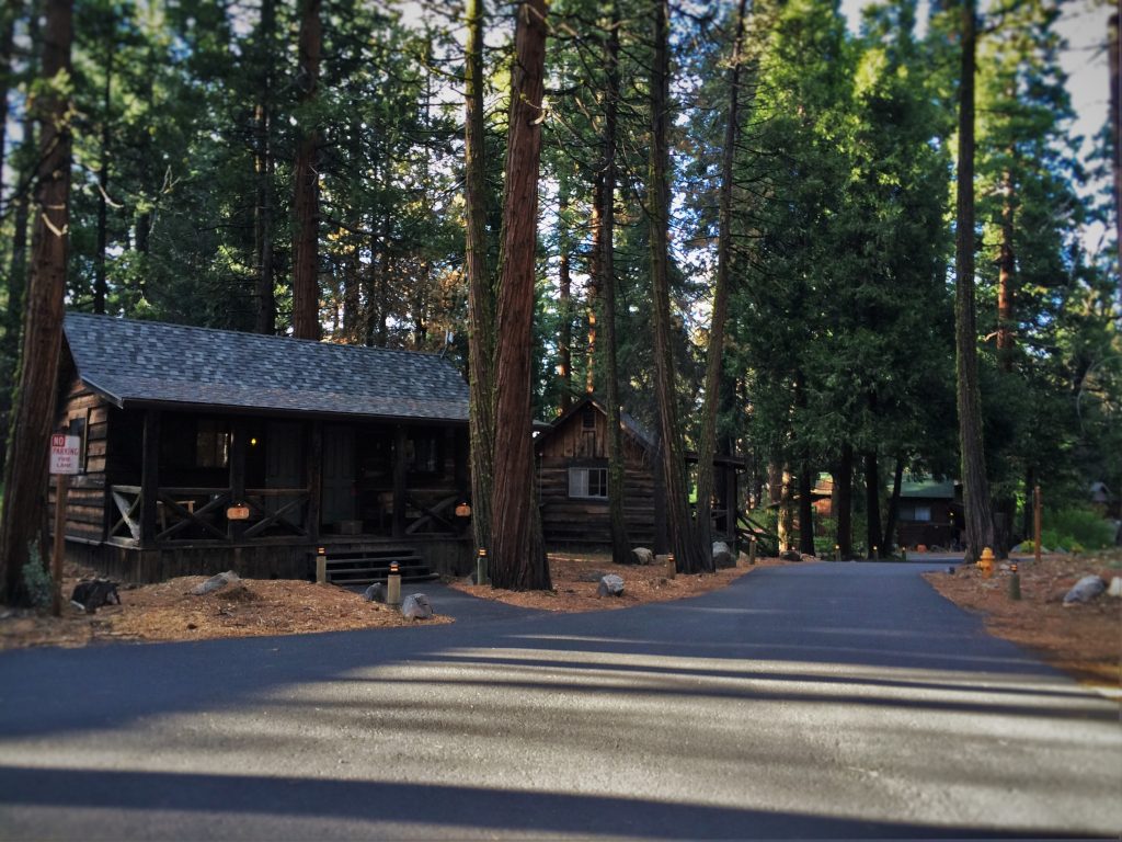 The Evergreen Lodge At Yosemite National Park Amazing   Family Cabins At Evergreen Lodge At Yosemite National Park 2 1024x768 