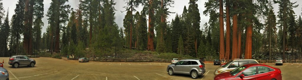 Grant Grove parking area Kings Canyon National Park 2traveldads