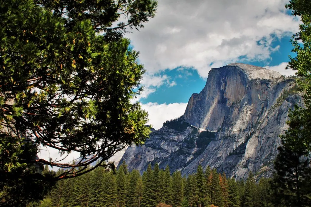 Half Dome from Yosemite Valley Floor in Yosemite National Park 5