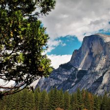 Half-Dome-from-Yosemite-Valley-Floor-in-Yosemite-National-Park-5-225x225.jpg