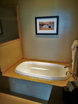 Bathroom in Deluxe Family Room at Bodega Bay Lodge 1