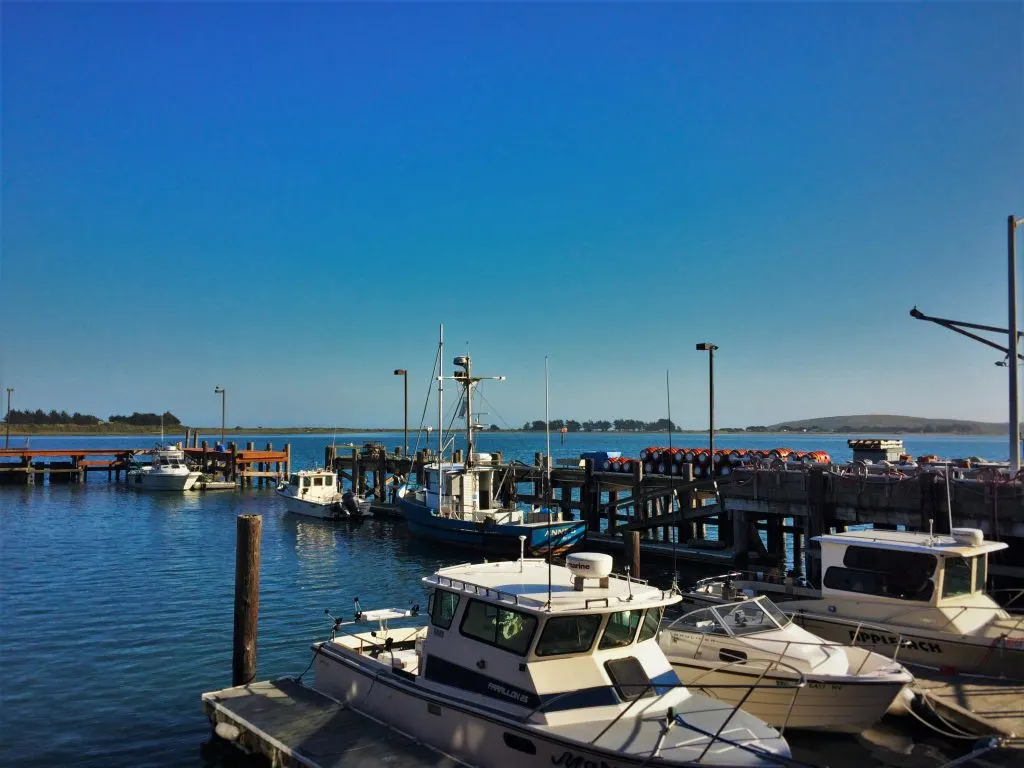 Fishing Pier Marina Bodega Bay