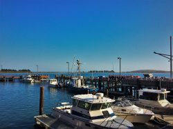 Fishing Pier Marina Bodega Bay
