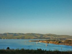 View from Bodega Head Bodega Bay 1