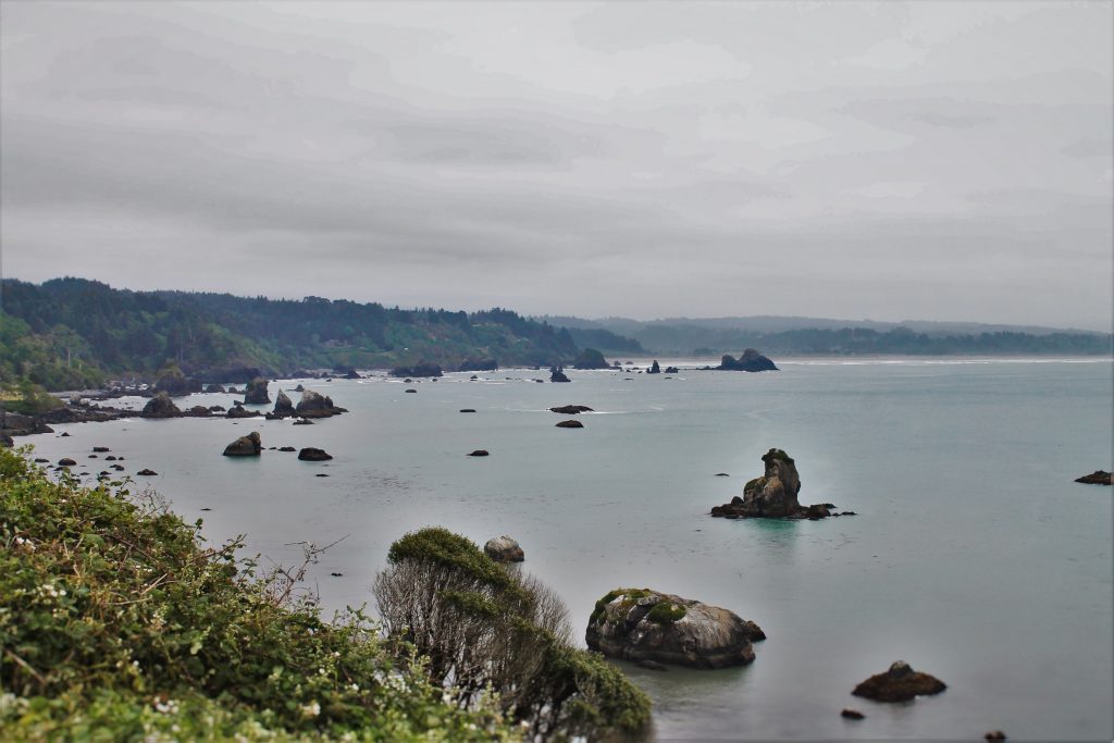 View from Bluff at Trinidad Head