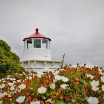 Sometimes you hike to amazing sights and sometimes you regret not reading the map correctly... Like at Trinidad Head Lighthouse. 2traveldads.com